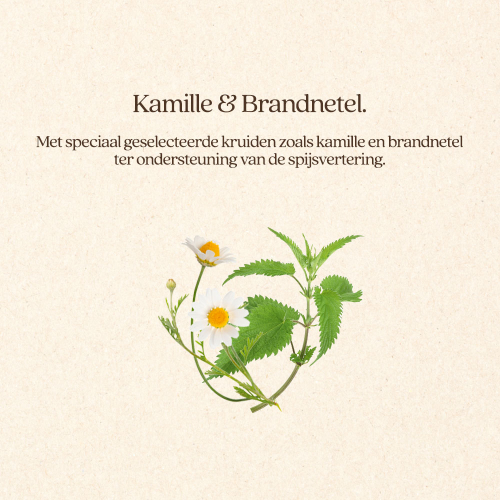 Hond Maag & Darmen Natvoer Blik