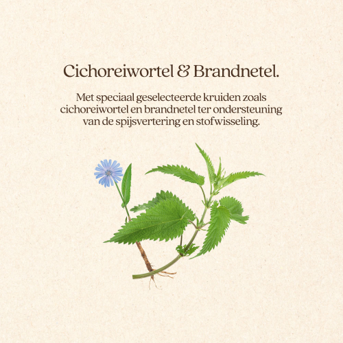 Hond Overgewicht Brok
