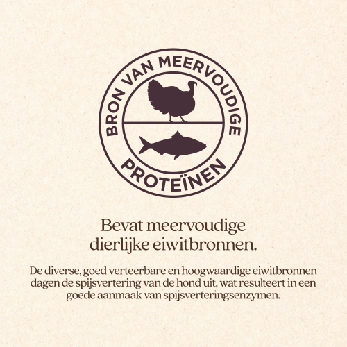 Hond Maag & Darmen Natvoer Blik