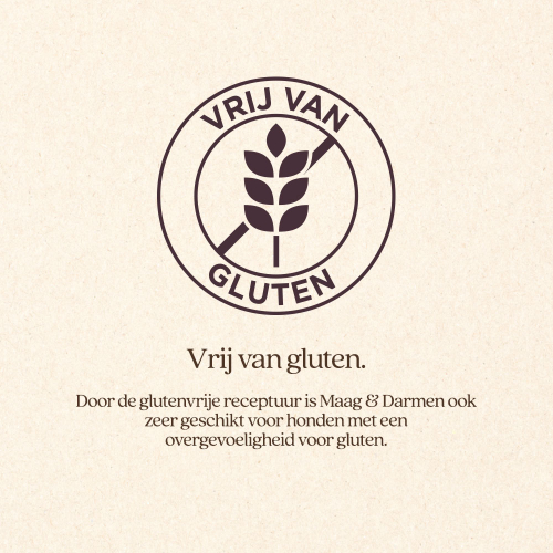 Hond Maag & Darmen Natvoer Blik