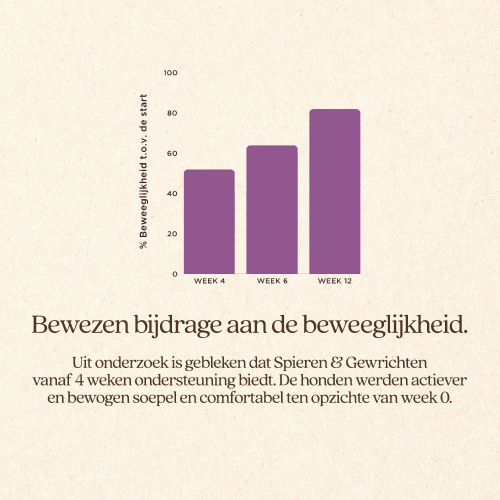 Hond Spieren & Gewrichten Brok