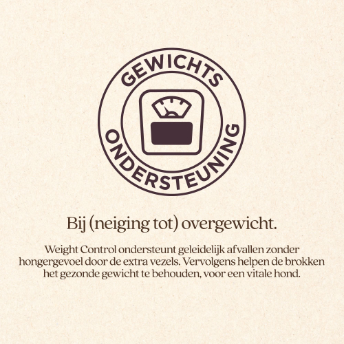 Hond Overgewicht Brok