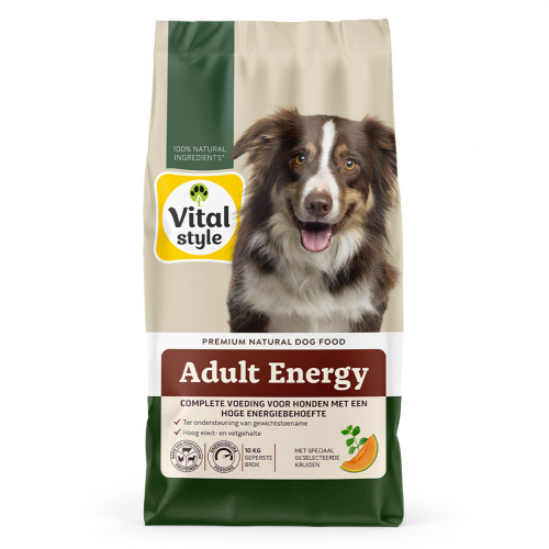 Hond Actief Brok