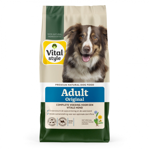 Hond Adult Brok
