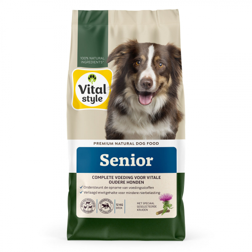 Hond Senior Brok