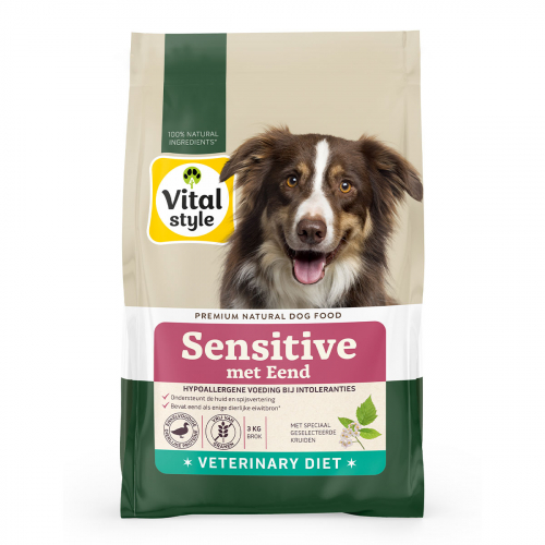 Hond Sensitive Met Eend Brok