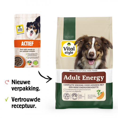 Hond Actief Brok