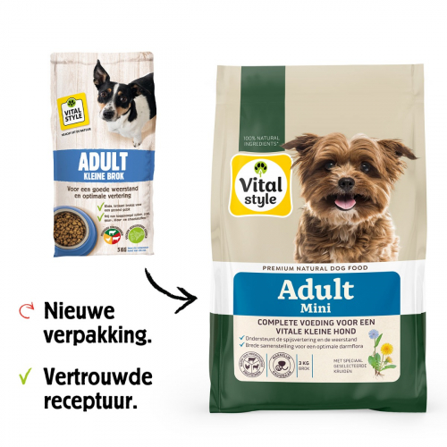 Hond Adult Kleine Brok