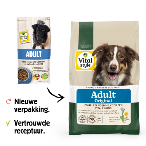 Hond Adult Brok