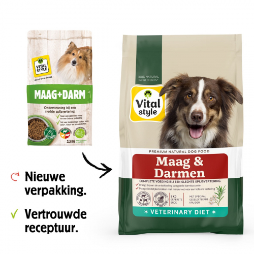 Hond Maag & Darmen Brok