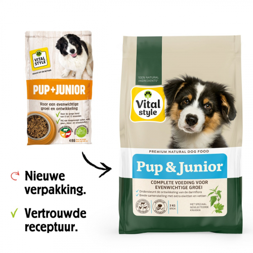 Hond Pup+Junior Brok