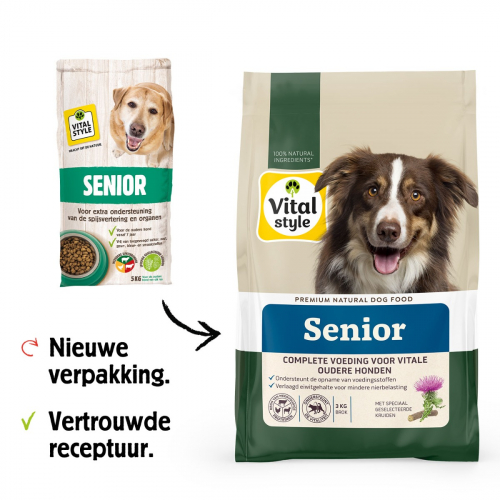 Hond Senior Brok
