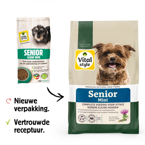 Hond Senior Mini