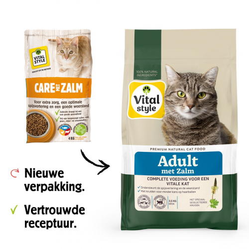 Kat Adult met Zalm Brok
