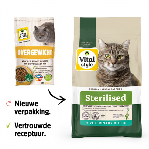 Kat Sterilised Brok