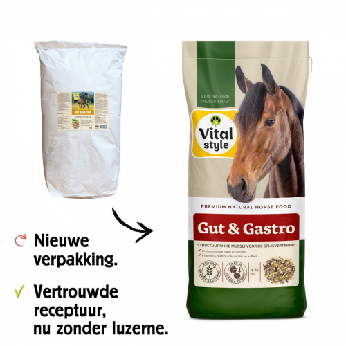 Muesli Gut & Gastro