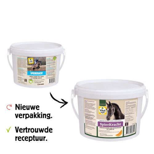 SpierKracht