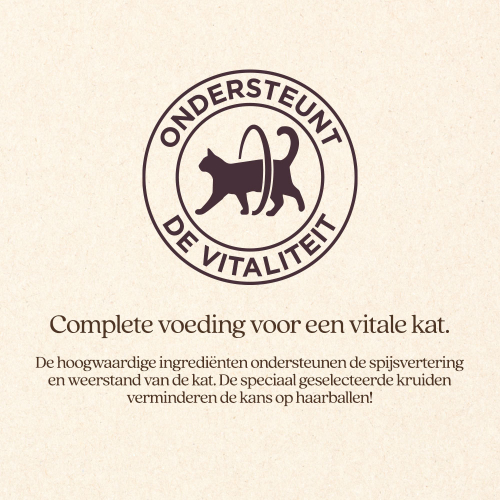 Kat Care Met Kip Brok