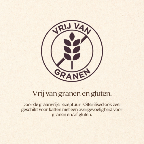 Kat Sterilised Natvoer Blik