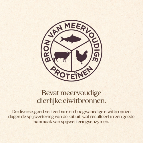 Kat Blaasgruis Brok