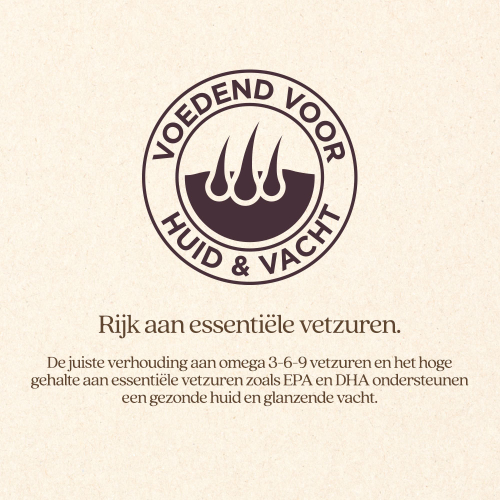 Kat Huid & Vacht Natvoer Blik Kat Huid & Vacht Natvoer Blik