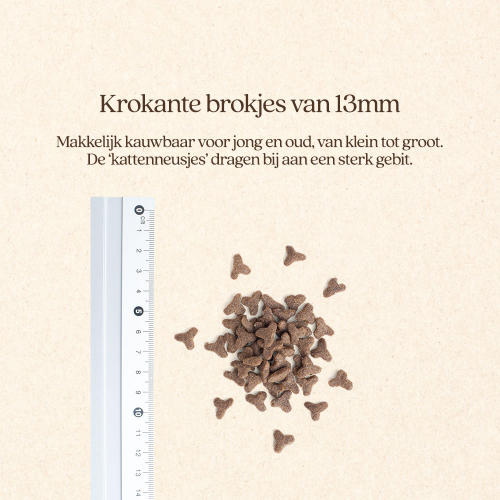 Kat Care Met Kip Brok