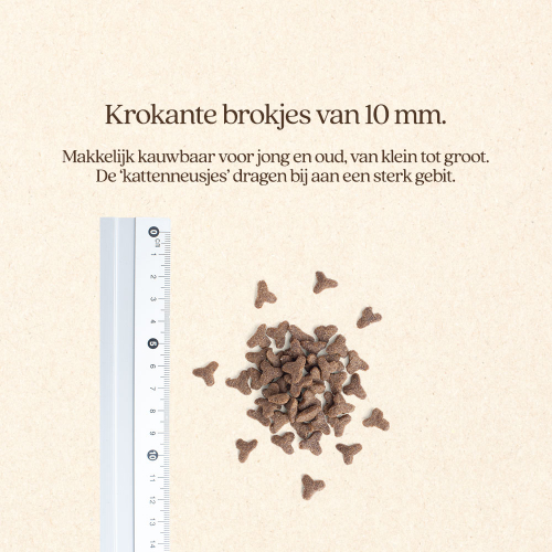 Kat Care Met Kip Brok