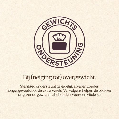 Kat Sterilised Brok