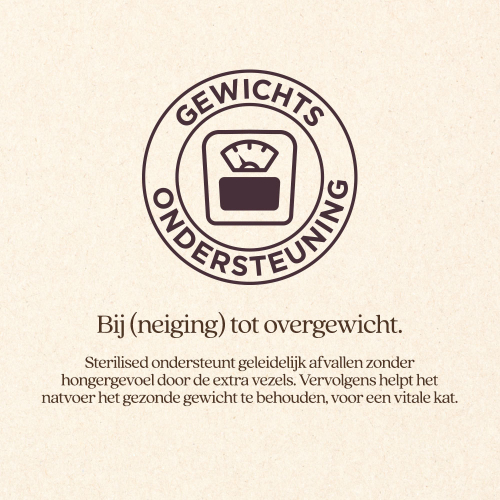 Kat Sterilised Natvoer Blik