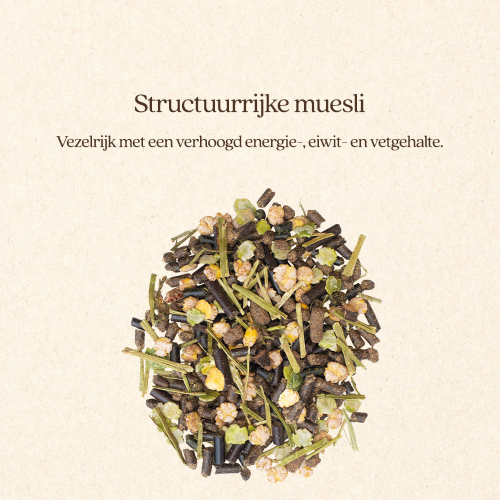 Muesli Active & Protein