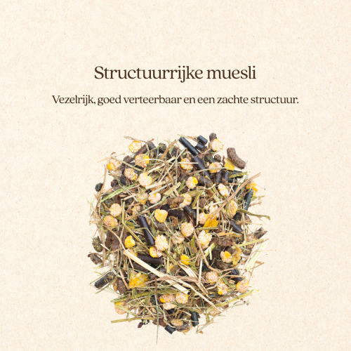Muesli Gut & Gastro