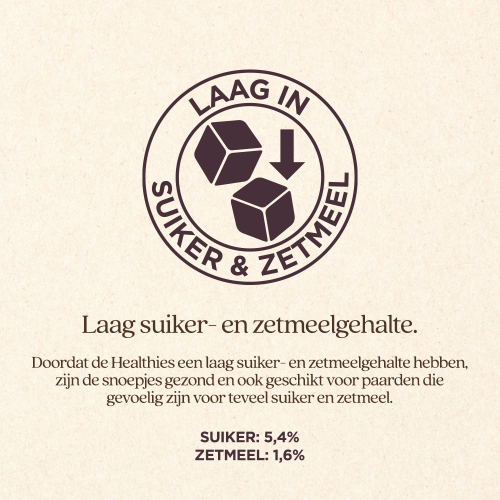 Healthies met Lijnzaad