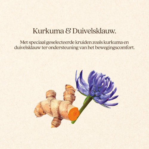 Pre- & Probiotics Spieren & Gewrichten
