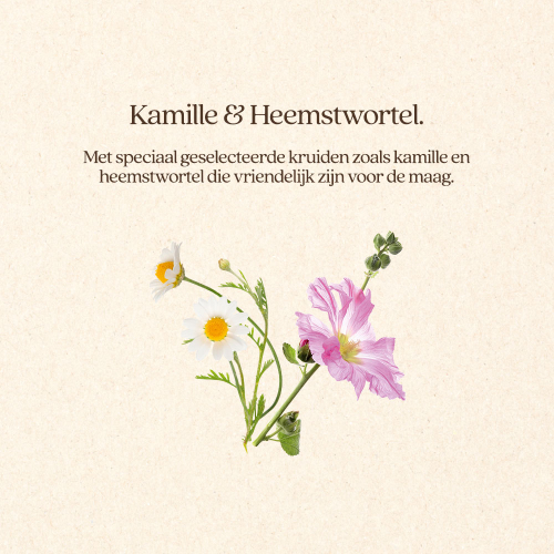 GastroComplex+ GastroComplex+