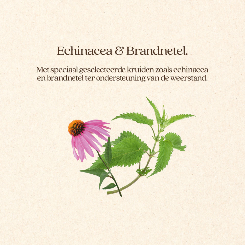 ImmunoBoost VoordeelBundel