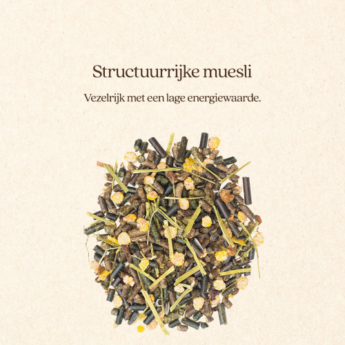 Muesli Light & Sober