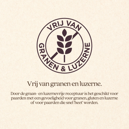 Muesli Gut & Gastro