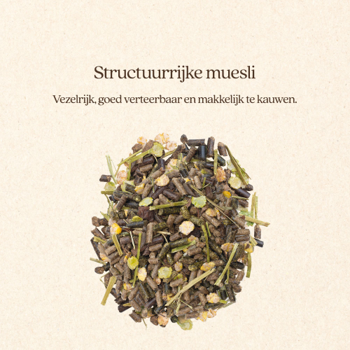 Muesli Senior & Balance