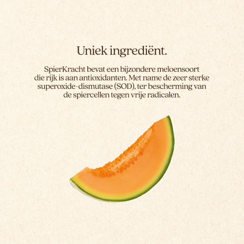 SpierKracht