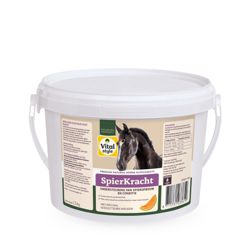 SpierKracht SpierKracht