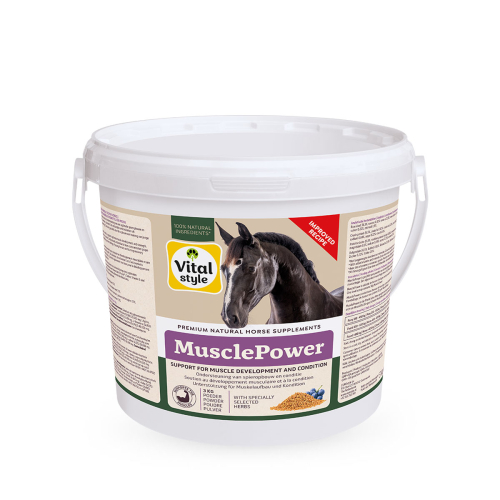 SpierKracht SpierKracht