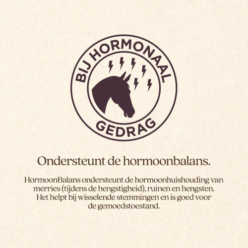 HormoonBalans