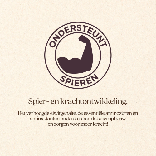 SpierKracht