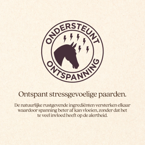 StressControl VuurwerkStress Bundel 