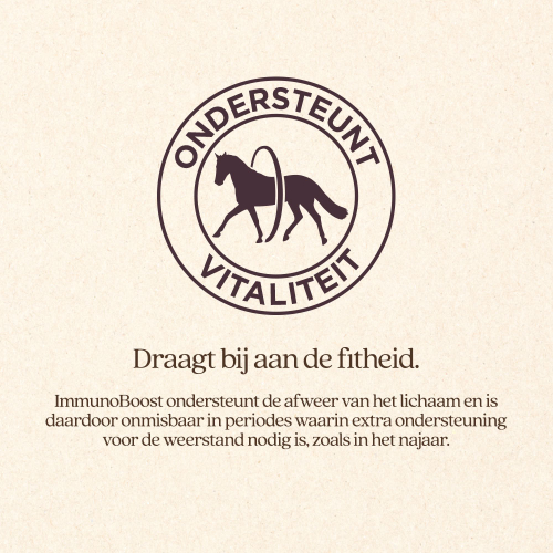 ImmunoBoost VoordeelBundel