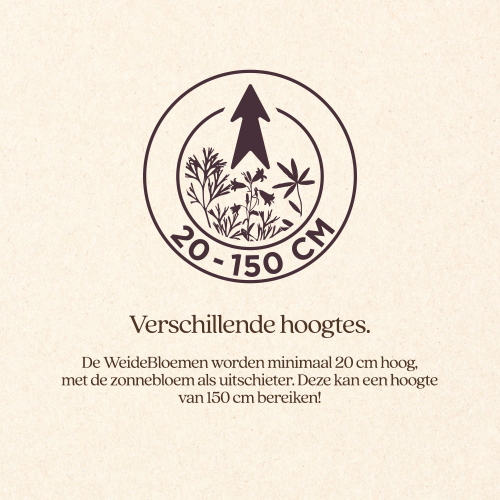 WeideBloemen