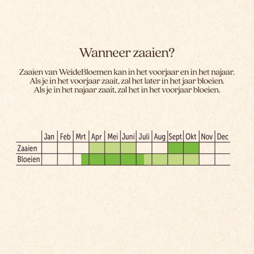 WeideBloemen
