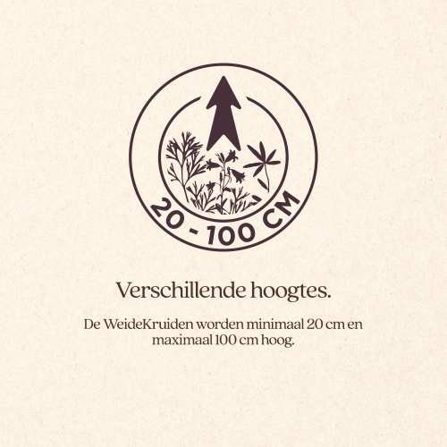WeideKruiden