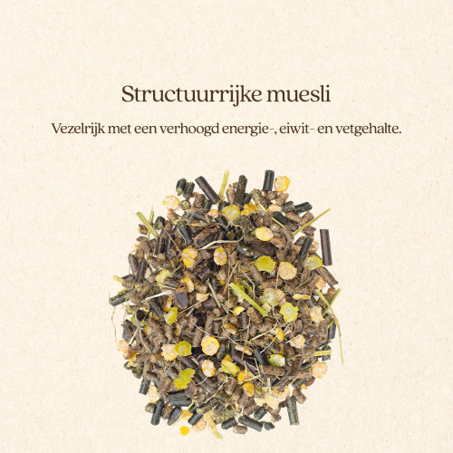 Muesli Weight & Condition