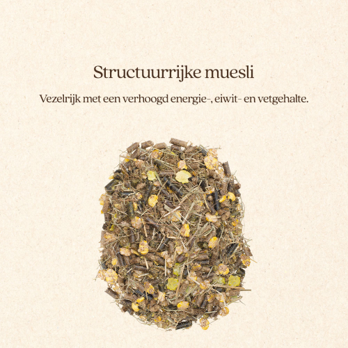 Muesli Young & Breed